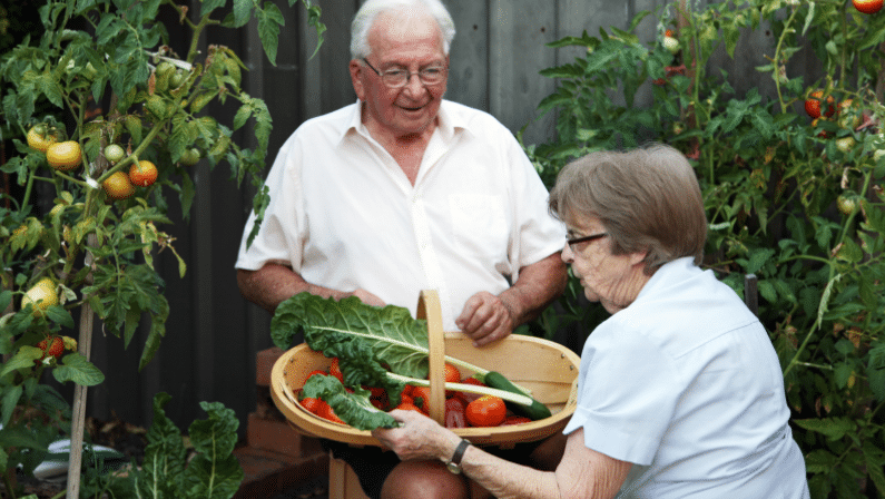 An older couple enjoying benefits of working in the garden together.